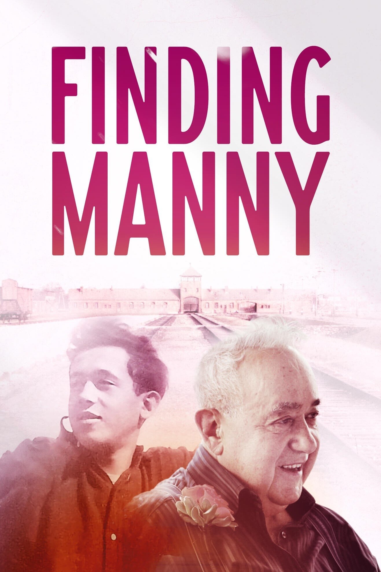 Постер Finding Manny